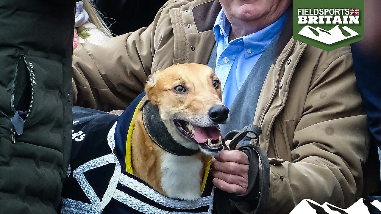 100th National Coursing Meeting