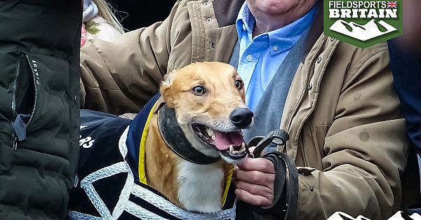 100th National Coursing Meeting