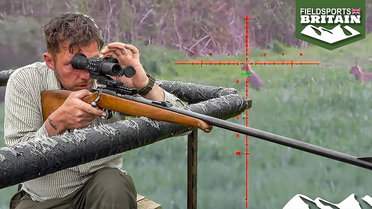 Shooting Rabbits At 200 Yards With A .22lr