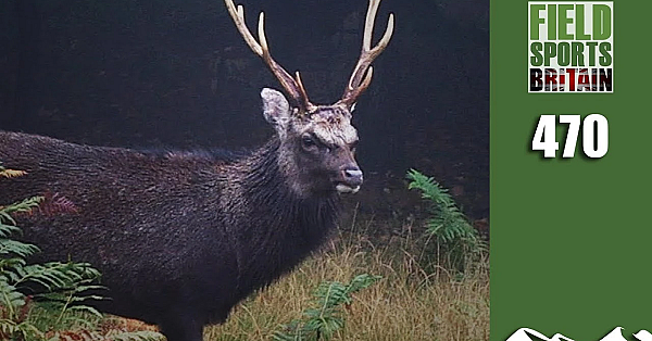 Fieldsports Britain - Stag Stalking Special
