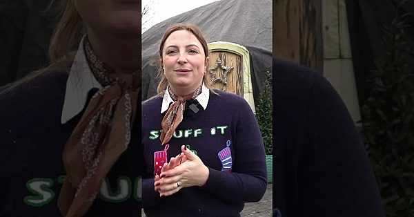 The Seated Gun Is Shooting Fast-flying Partridges.  #fieldsports #hunting #fieldsportsbritain