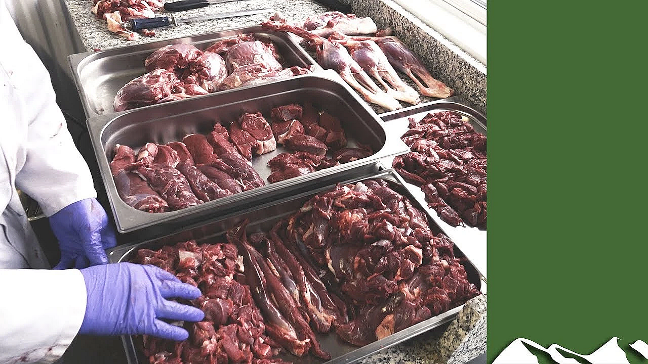 Skinning And Butchering A Deer, Start To Finish, With John Griffin