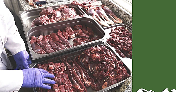 Skinning And Butchering A Deer, Start To Finish, With John Griffin