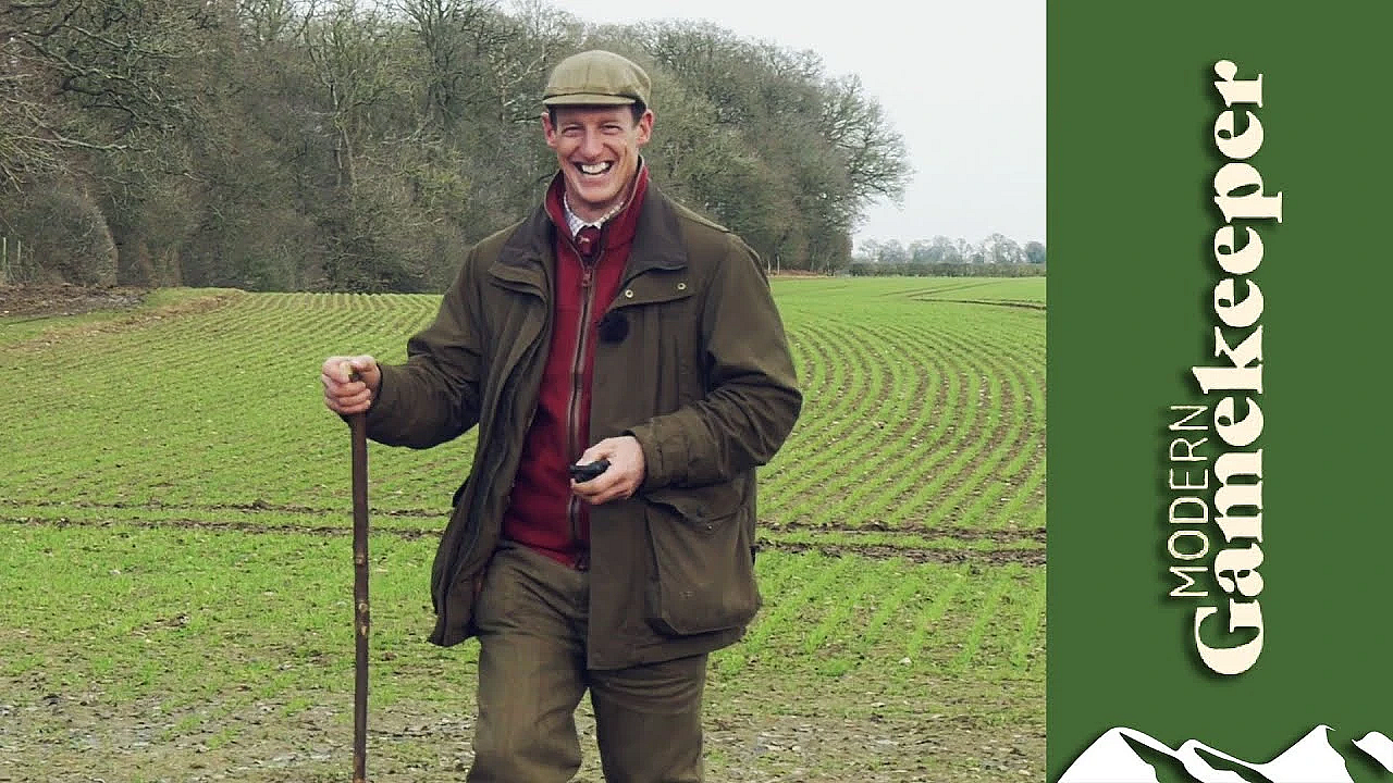 Pheasants - From Flying To Fork