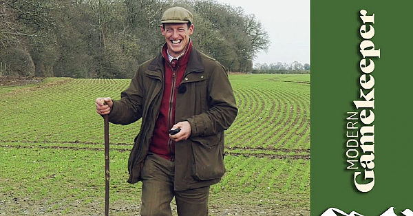 Pheasants - From Flying To Fork