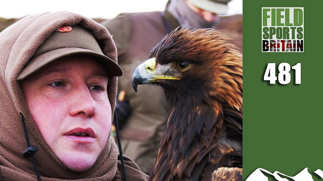 Fieldsports Britain - Eagles On Hares