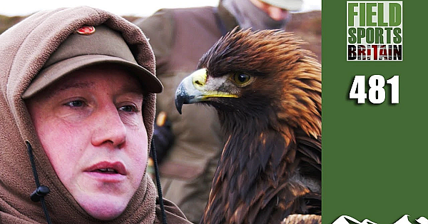 Fieldsports Britain - Eagles On Hares