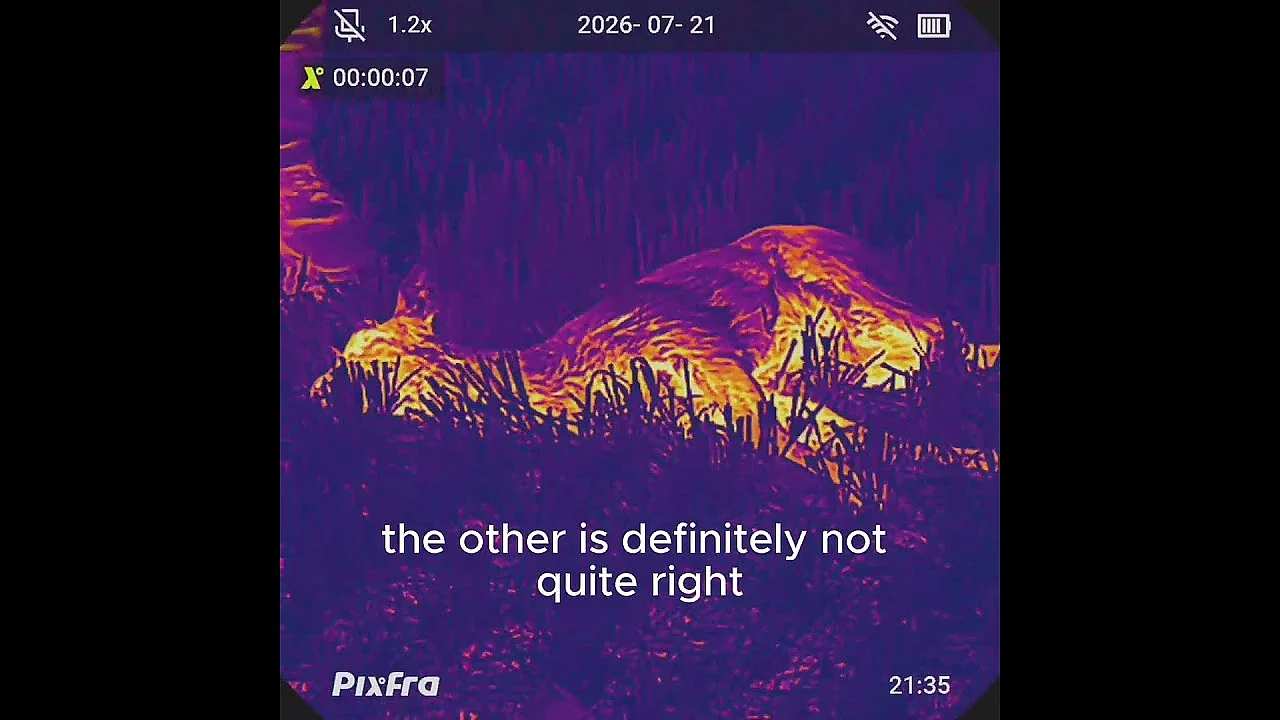 Watching every reaction @pixfra