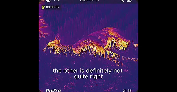 Watching every reaction @pixfra