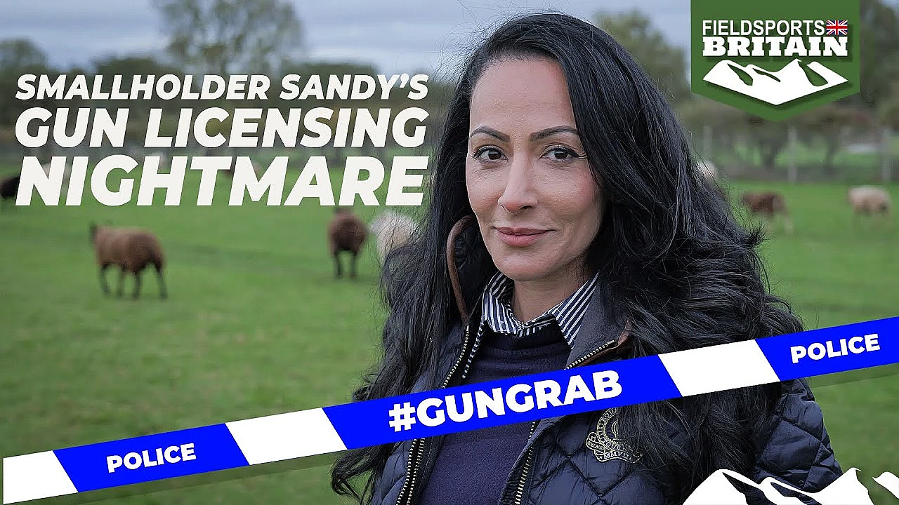 Smallholder Sandy’s Gun Licensing Nightmare