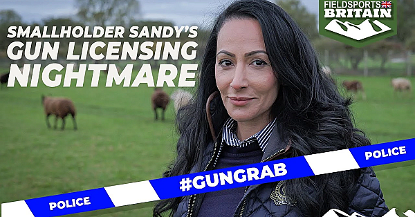 Smallholder Sandy’s Gun Licensing Nightmare