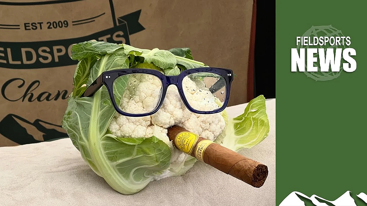 Thérèse Coffey Gets The Cauli-wobbles Over Gl43 And Gamebird Release