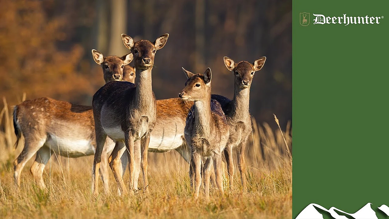 Deerstalking Innovation: Derek The Wind Gauge