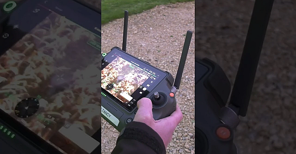 Deer Move Cull On His Bedfordshire Estate #deerhunting