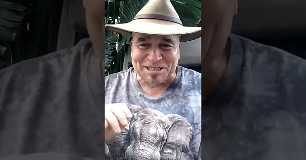 Irish Rut Double  #fieldsportsbritain