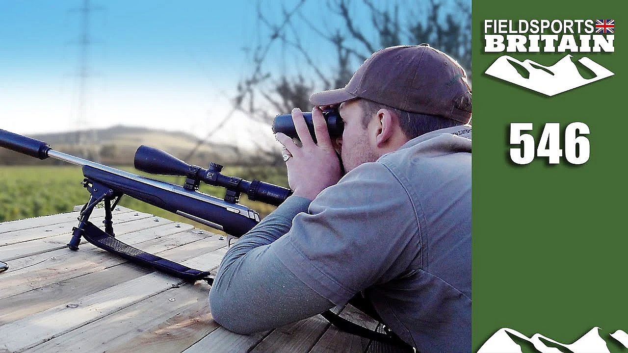 Fieldsports Britain - #loveisland Hunt