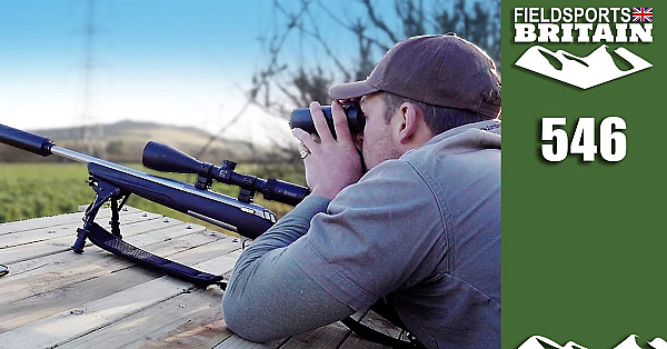 Fieldsports Britain - #loveisland Hunt