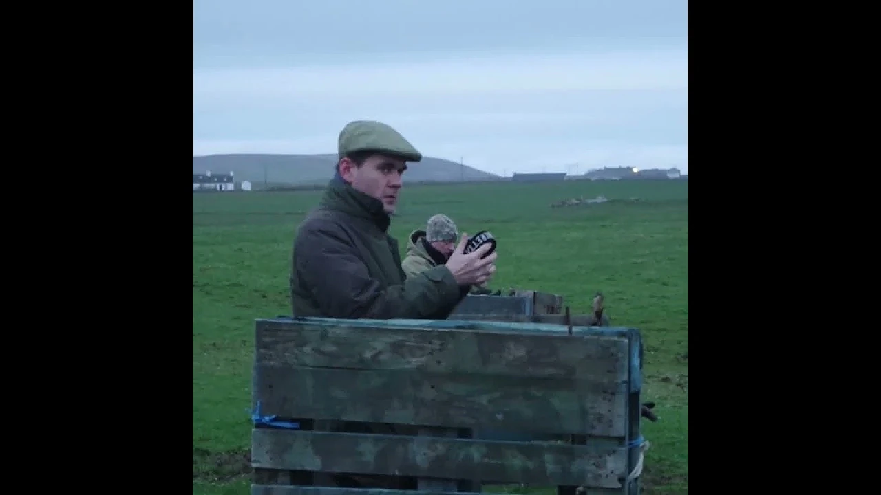 Bird declines: study finds no link to legal hunting status
