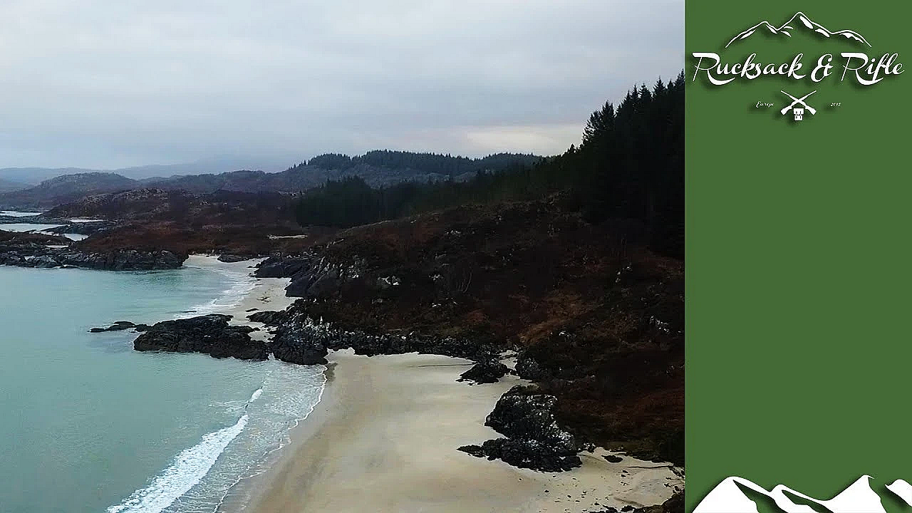 Scottish Hind Cull At High Tide