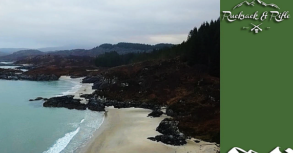 Scottish Hind Cull At High Tide