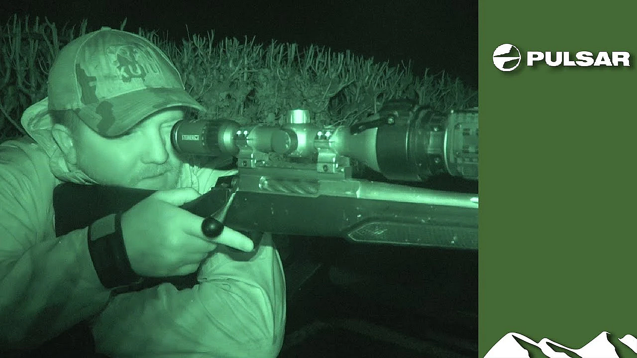 Dartmoor Foxing: Lamb Alert