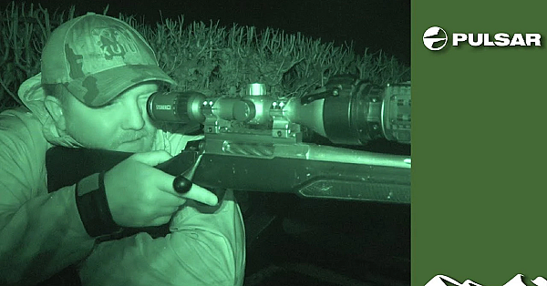 Dartmoor Foxing: Lamb Alert