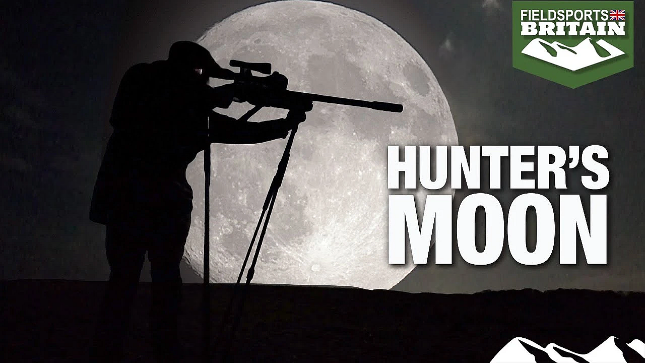 Hunting Rabbits With An Airgun Under A Full Moon