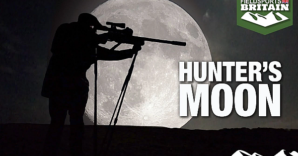 Hunting Rabbits With An Airgun Under A Full Moon