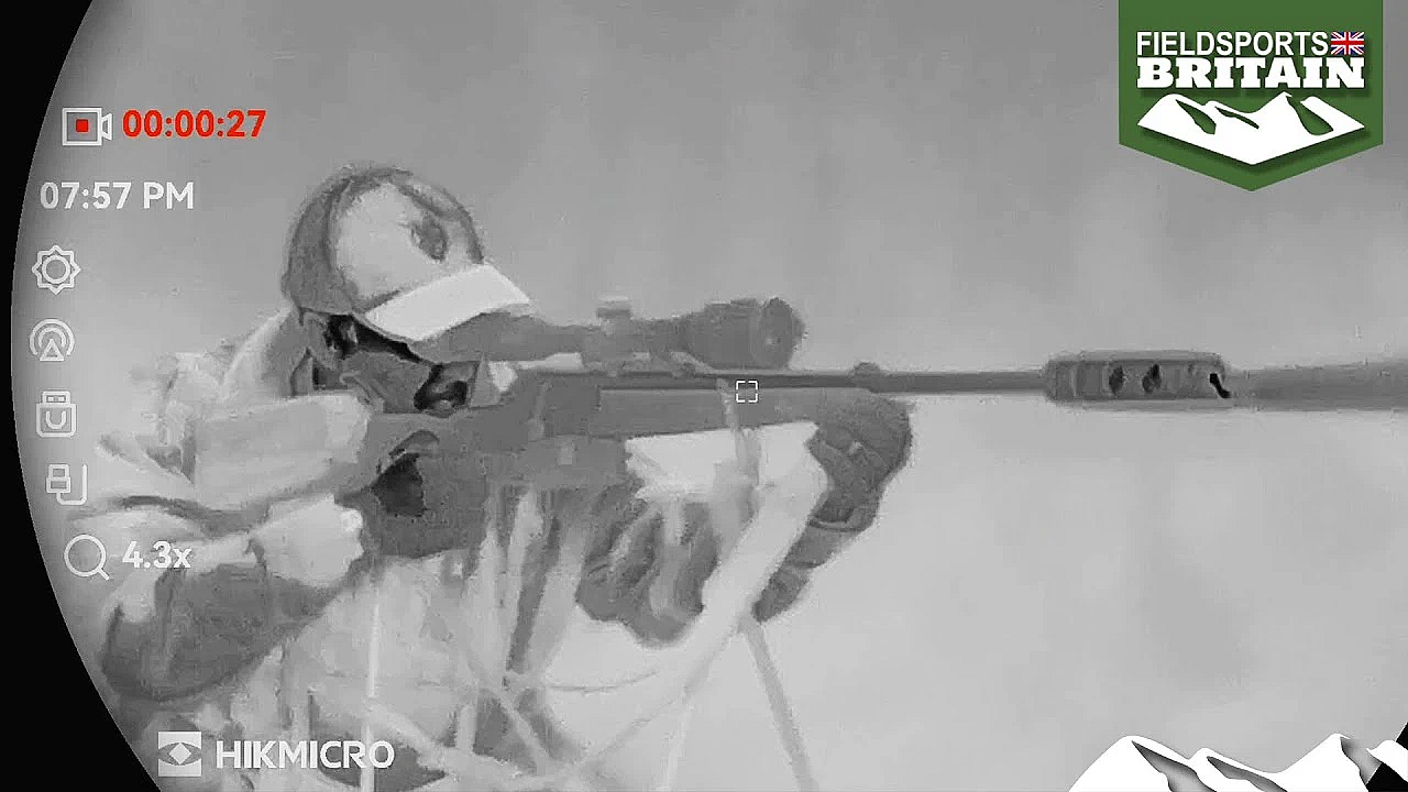 Shooting Injured Deer In The Dark