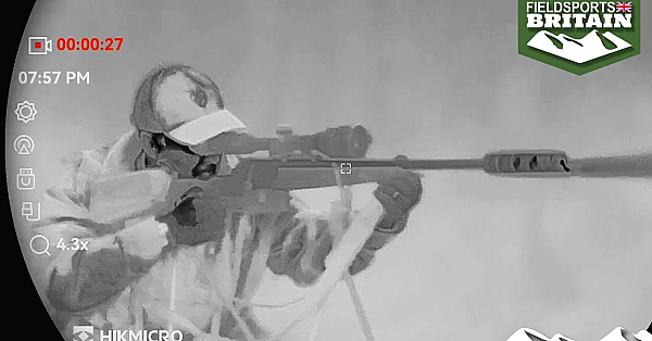 Shooting Injured Deer In The Dark