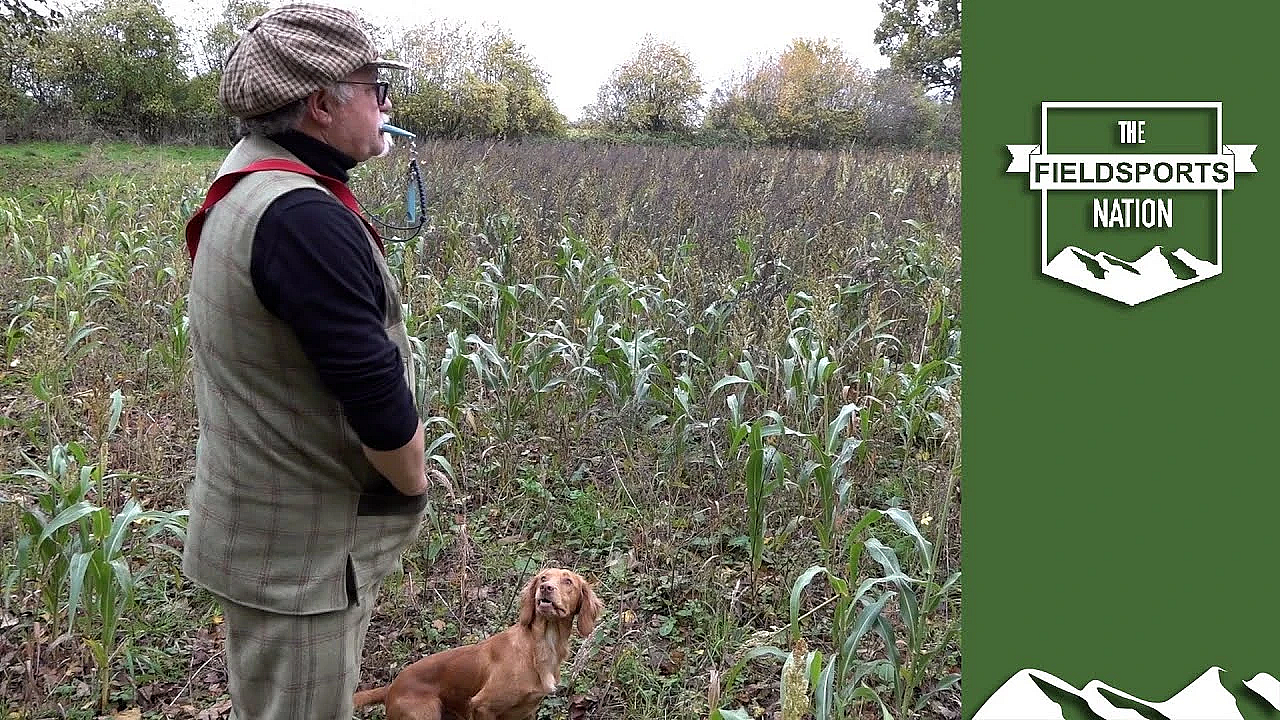 Dog Training: How To Control Yourself