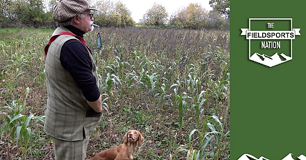 Dog Training: How To Control Yourself