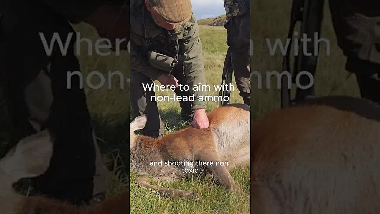 Non Lead Ammo Convo, As High Above The Glens, Tim Pilbeam And Team Glass The Hills For Movement.