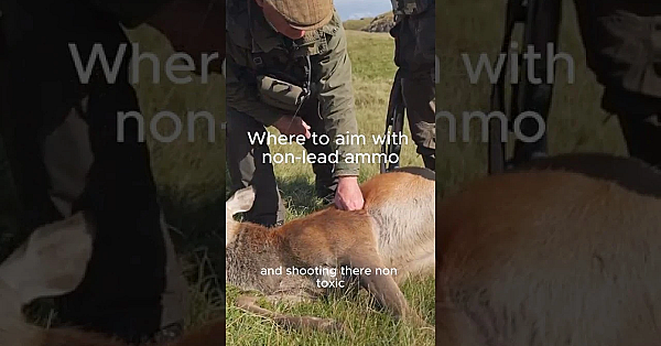 Non Lead Ammo Convo, As High Above The Glens, Tim Pilbeam And Team Glass The Hills For Movement.