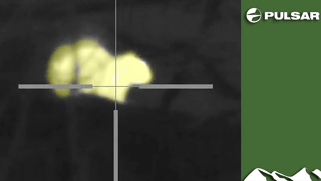 Thermal Squirrel Hunt