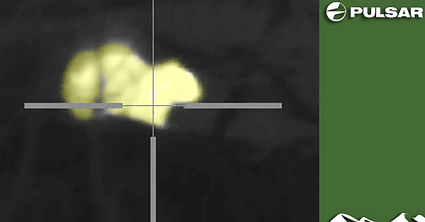 Thermal Squirrel Hunt