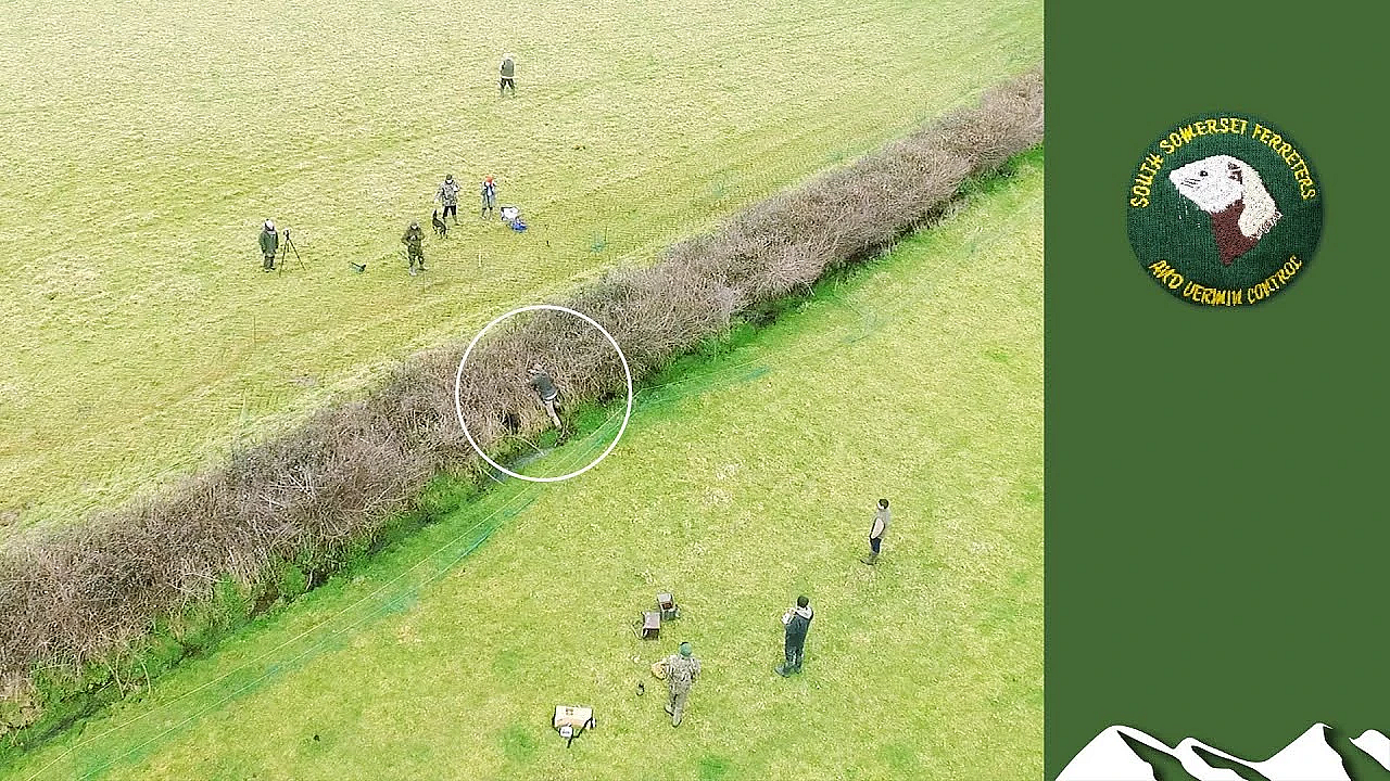 Ferreting: Big Last Day Of The Season