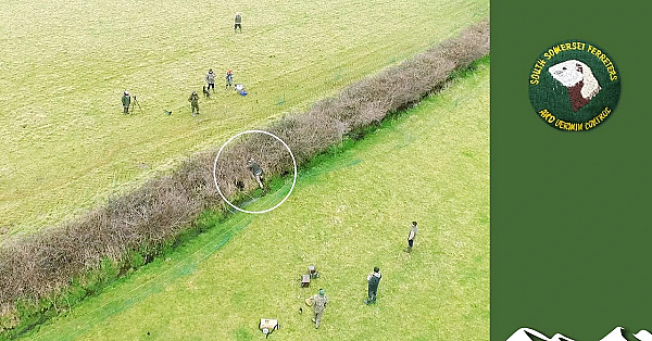 Ferreting: Big Last Day Of The Season