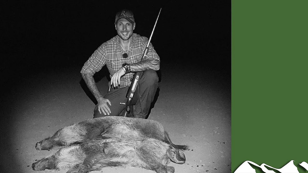 Speedy French Wild Boar