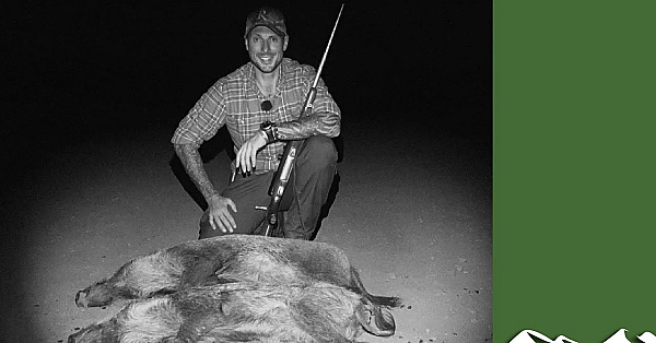 Speedy French Wild Boar