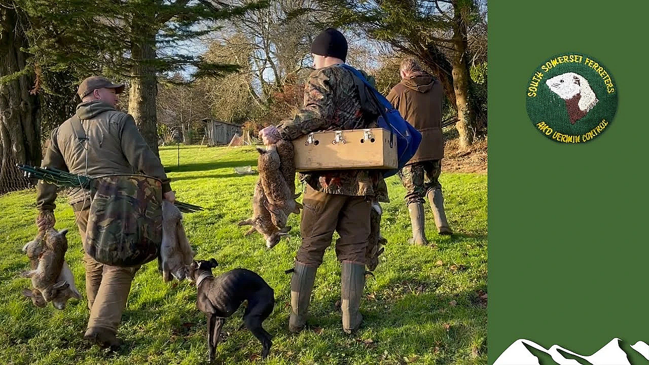 Ferreting An Old People's Home