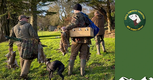 Ferreting An Old People's Home