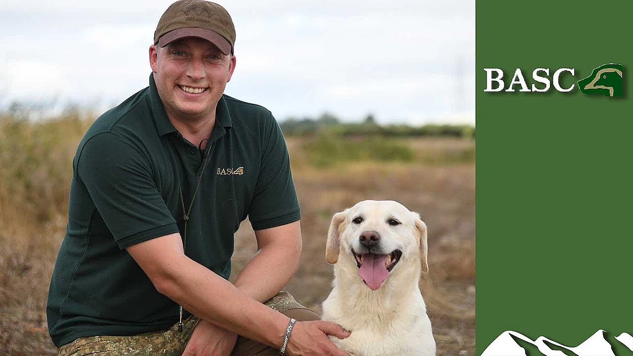 Pigeonshooting: How Basc Shouts About Our Sport