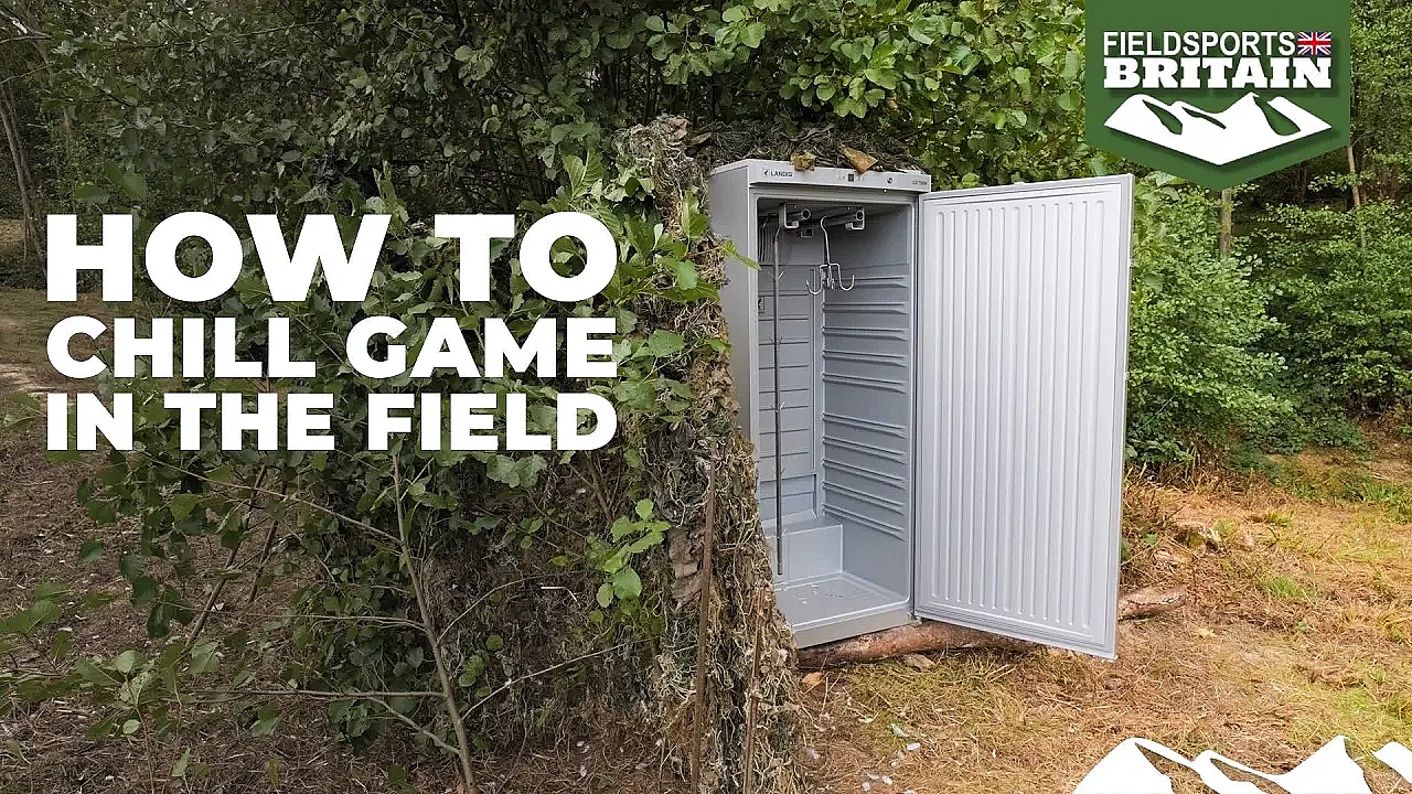 How to chill game in the field