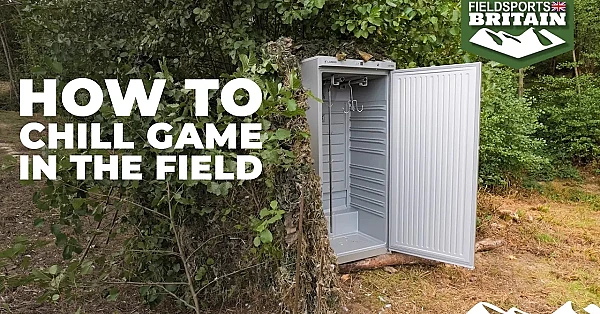 How to chill game in the field