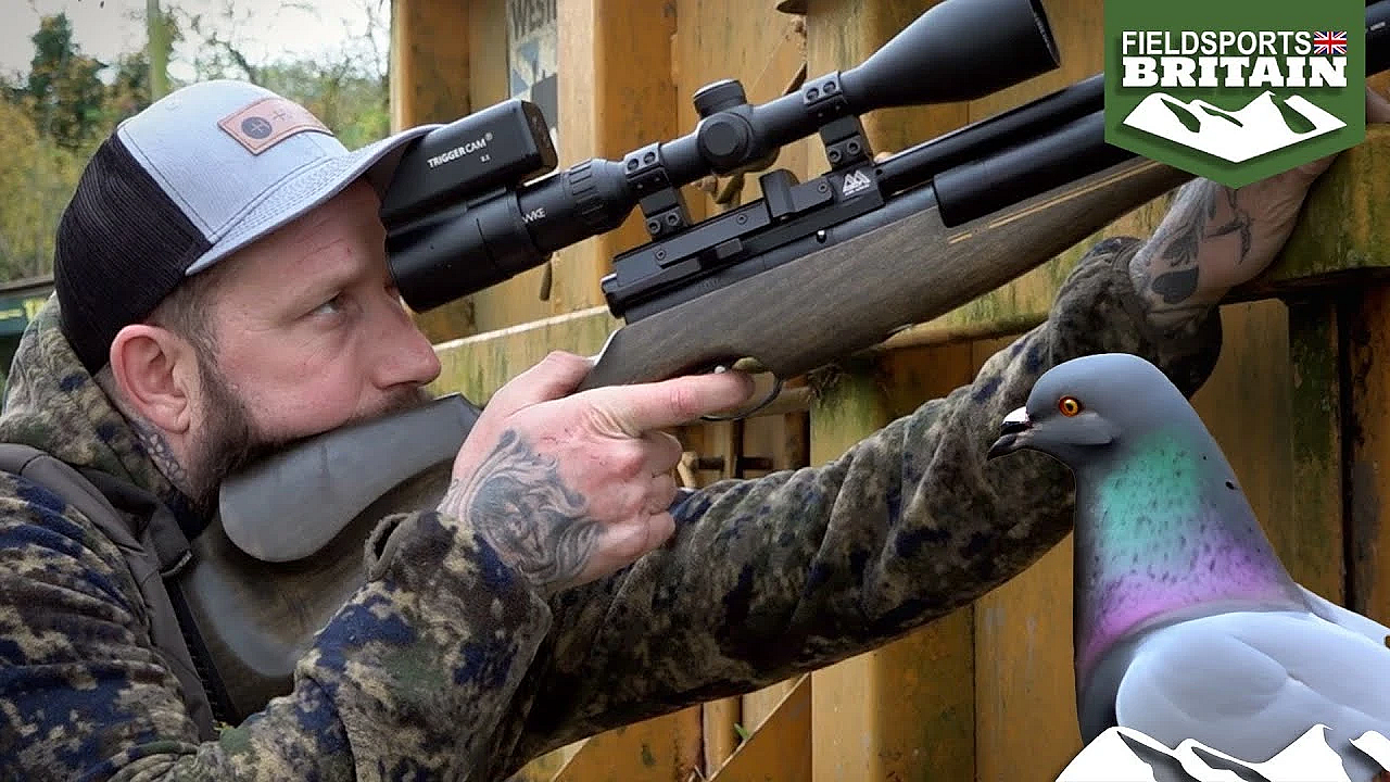 Shooting Farmyard Feral Pigeons With An Air Rifle