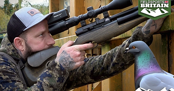 Shooting Farmyard Feral Pigeons With An Air Rifle