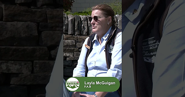 How Are British Gun Owners Feeling?  #fieldsportsbritain