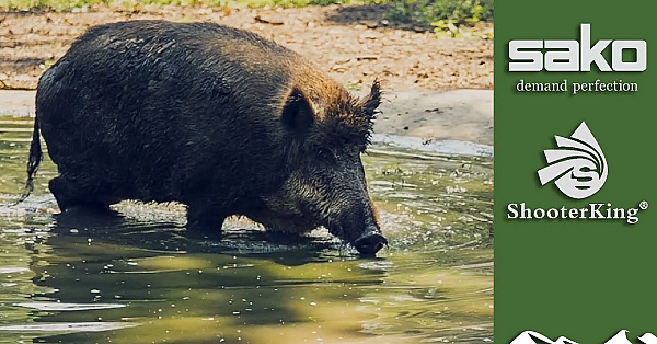 Nightshooting Wild Boar With Thermal