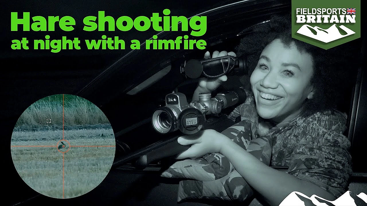 Hare Shooting At Night With A Rimfire
